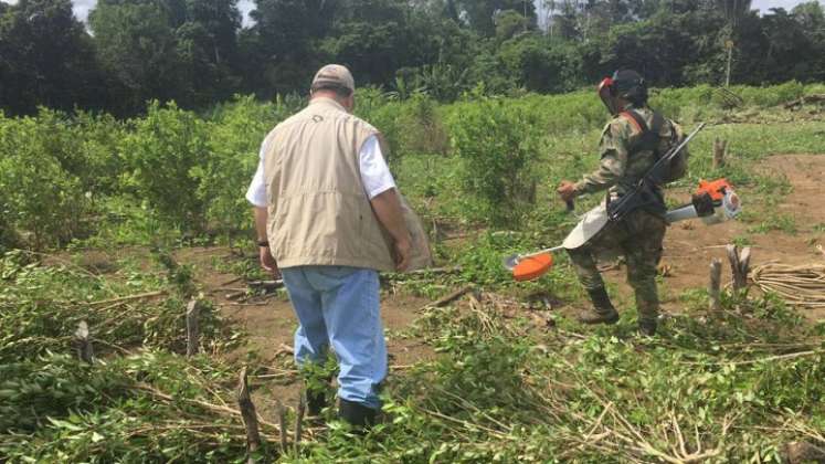 Un desplazamiento silencioso se registra en la zona del Catatumbo debido a la seguridad alimentaria.