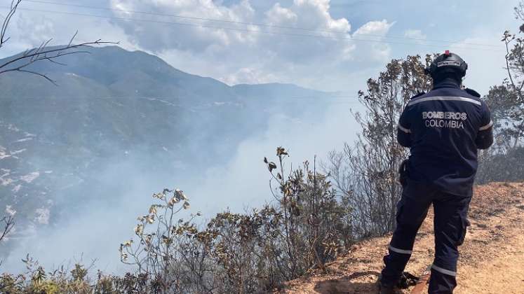 Se perdieron unas 50 hectáreas de capa vegetal. /Foto: Cortesía / La Opinión