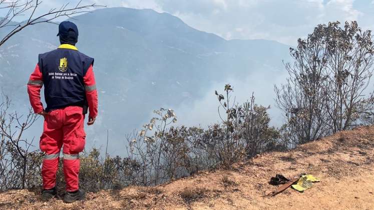 Se perdieron unas 50 hectáreas de capa vegetal. /Foto: Cortesía / La Opinión