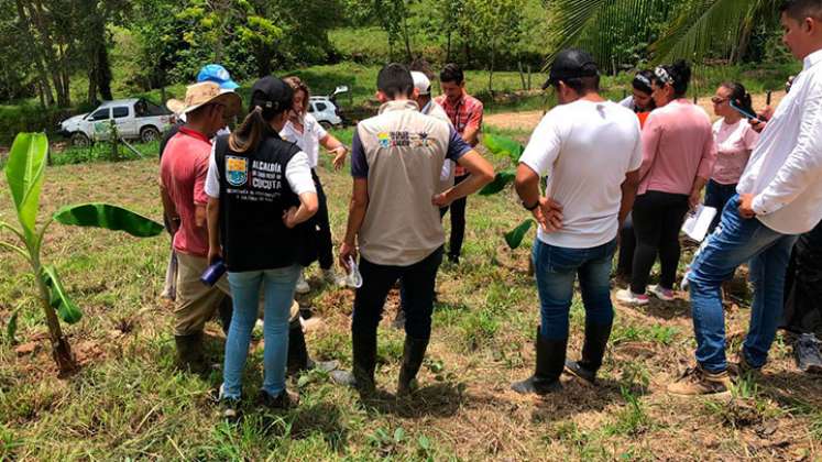 Los campesinos han recibido asesoría y formación, así como insumos y herramientas, para sacar adelante sus cultivos de plátano. Fotos Cortesía