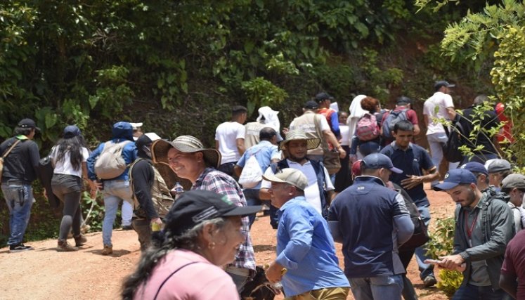Temen desplazamiento forzado por combates en el Catatumbo Temor existe en la zona del Catatumbo por los cruentos enfrentamientos de los últimos días.