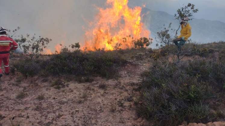 Unas 70 hectáreas de capa vegetal fueron quemadas por un incendio forestal en Ábrego.