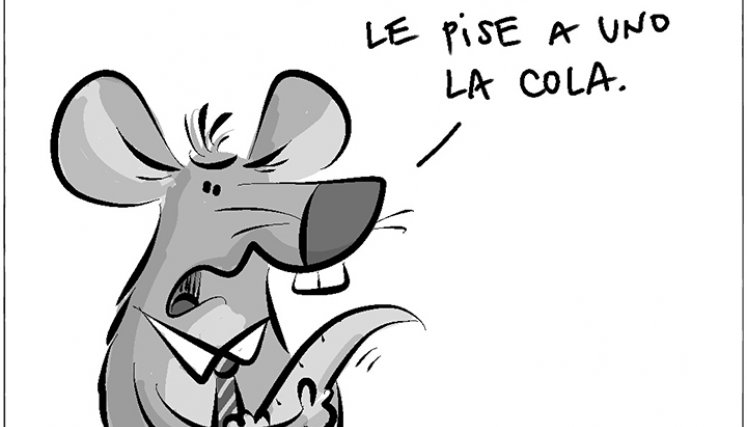 Entre congresistas...