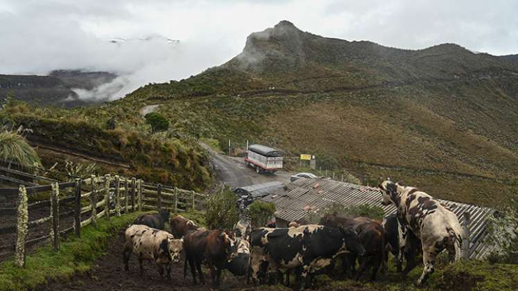 La amenaza palpita desde finales de marzo, cuando el promedio diario de sismos dentro del volcán pasó de 50 a 12.000. / Foto: AFP