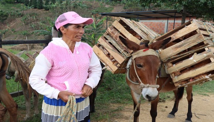 El Poder rosa se toma el sector rural de Ocaña con proyectos productivos./ Foto: Cortesía.