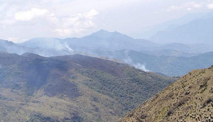 Incendios forestales causan  alarma en Norte de Santander