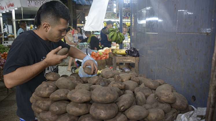 alimentos