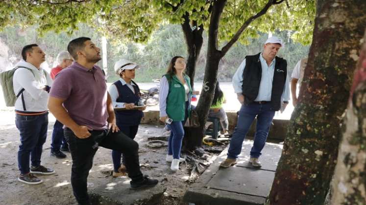 En Ocaña los árboles pasan a revisión fitosanitaria donde los expertos determinan si son talados. /Foto: Cortesía.