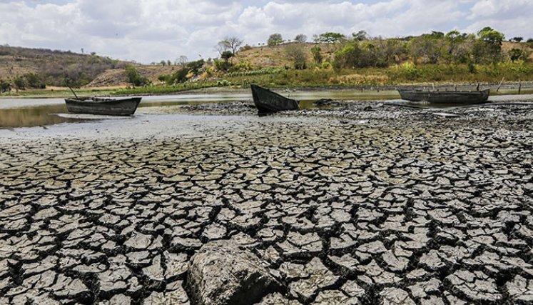 Cambio climático. 