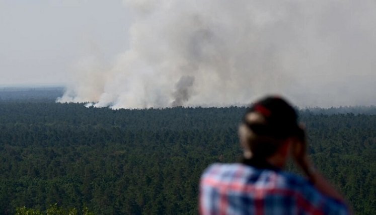 Incendios forestales. Foto: AFP