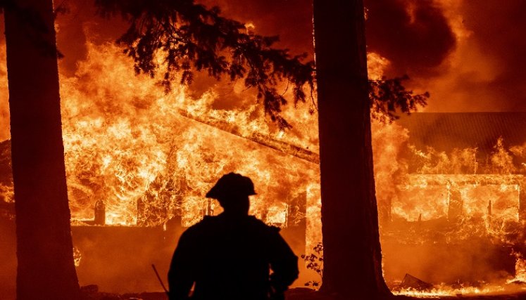 Incendios forestales. Foto: AFP