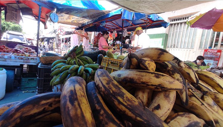 Los precios de los productos del campo no se han estabilizado, según los comerciantes consultados. Foto Leonardo Favio Oliveros / La Opinión