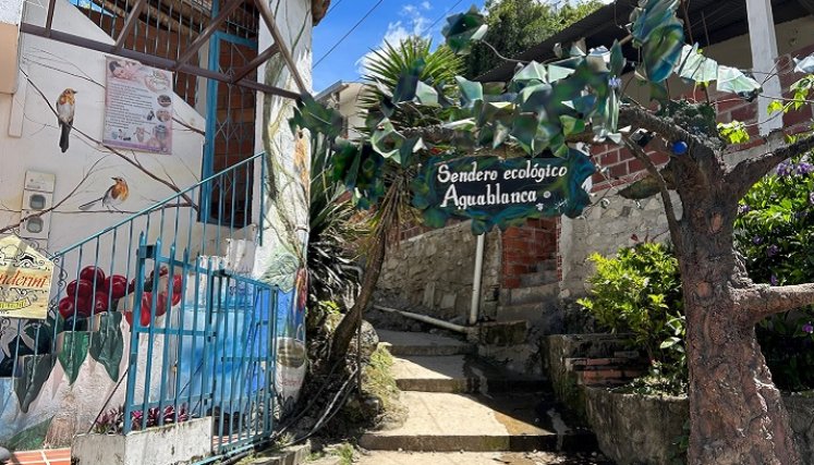 Sendero ecológico en Bochalema, una opción para disfrutar