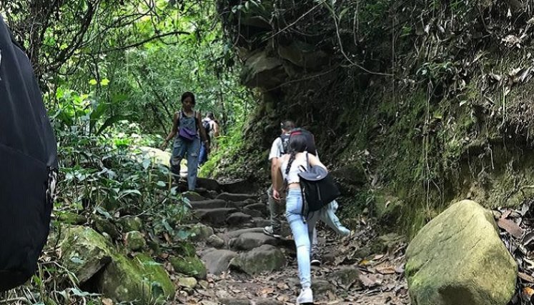 Sendero ecológico en Bochalema, una opción para disfrutar