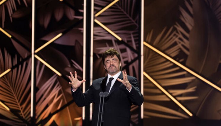Actor Benicio del Toro 