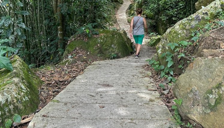 Sendero ecológico en Bochalema, una opción para disfrutar
