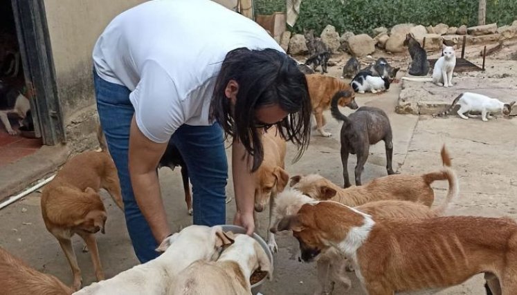 Amenazaron a concejal animalista de Cúcuta 
