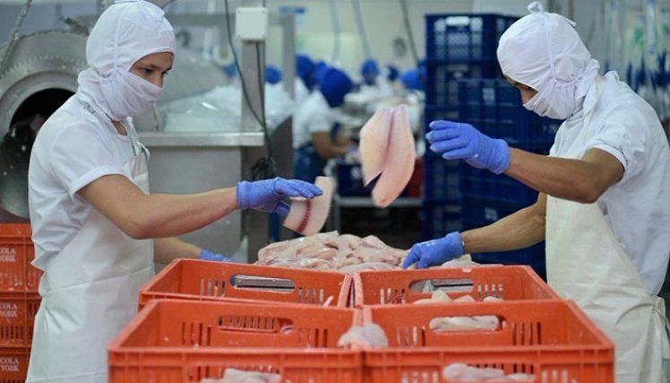 Cerca de 500.000 trabajadores fueron afiliados a las cajas de compensación familiar, el último año, en Colombia. Foto Archivo La Opinión