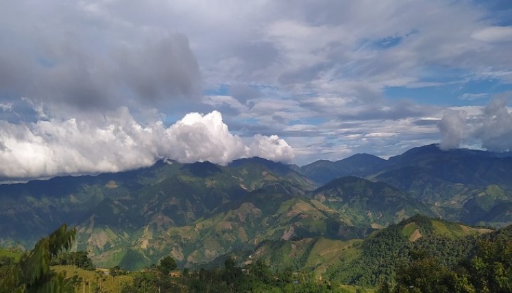 El Catatumbo tiene muchas historias por contar para lograr la conciliación de los pueblos./ Cortesía.