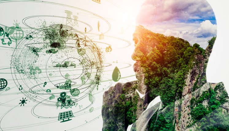 Desarrollo Sostenible 