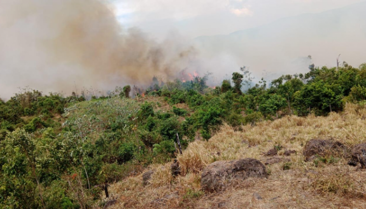 Hectareas El Zulia