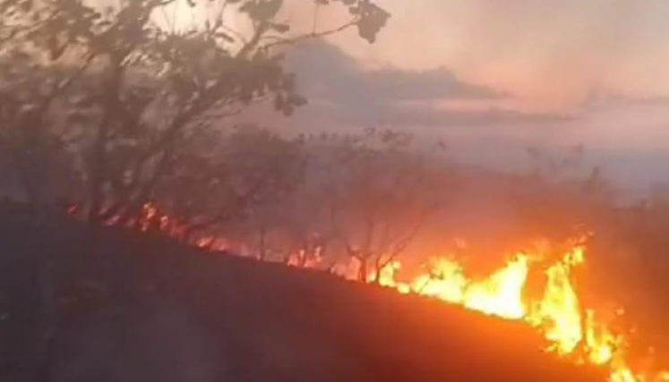 Incendio El Zulia