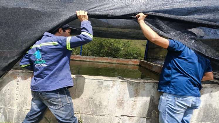 En la vereda San Antonio sur tienen la esperanza de tomar agua potable./ Foto: Cortesía