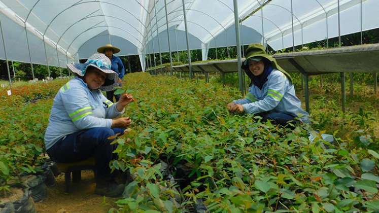 La producción, utilización y conservación de recursos biológicos como sector económico podría generar 2,5 millones de nuevos puestos de trabajo para el año 2030. / Foto: Colprensa