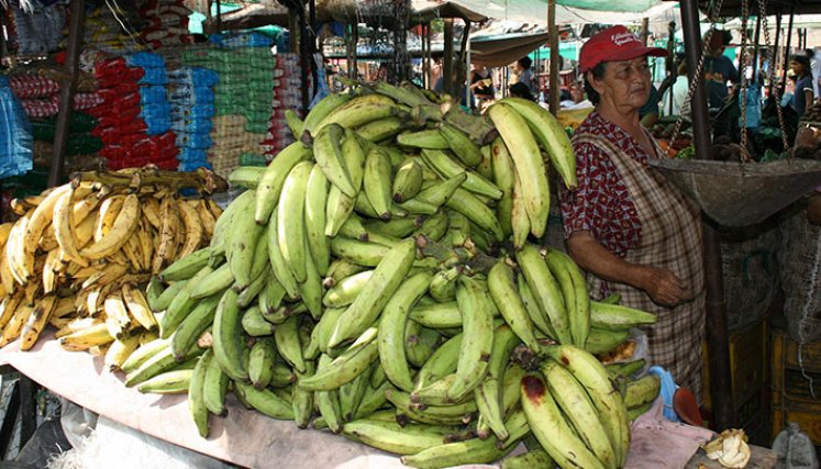 Las categorías de alimentos y bebidas no alcohólicas fueron la segunda categoría con mas variación. / Foto: Archivo