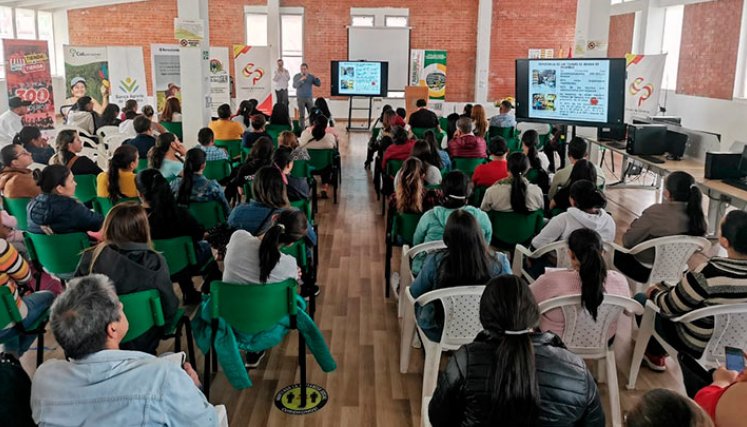 El programa tendrá tres laboratorios grupales con tenderos./Foto Cortesía