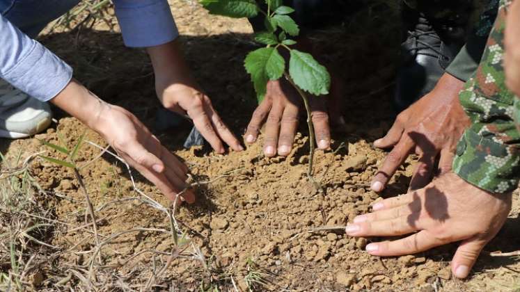 En la provincia de Ocaña los campesinos están comprometidos con el cuidado del medio ambiente. /Foto: Cortesía