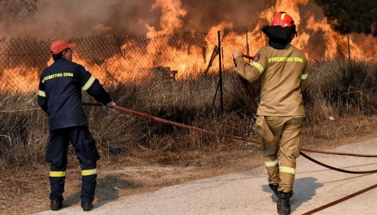 Hasta la fecha se han presentado más de 50 incendios forestales en Norte de Santander.