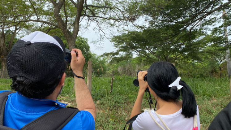 Amantes de la naturaleza se reunieron para observar y documentar aves del departamento