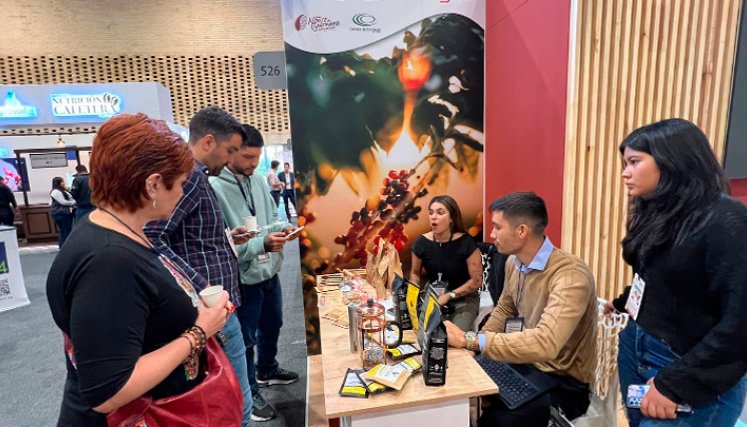 Los caficultores de Norte de Santander han logrado acuerdo comerciales con empresarios de Australia, Canadá, Suiza y Estados Unidos, entro otros países. / Foto: Cortesía