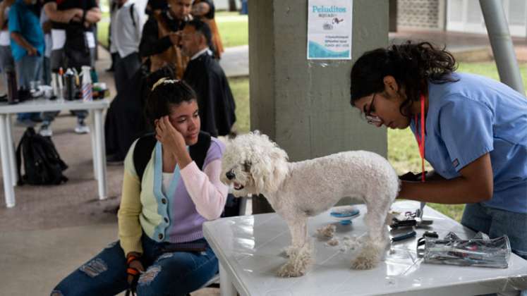 Las mascotas también hacen su aporte a esta causa.