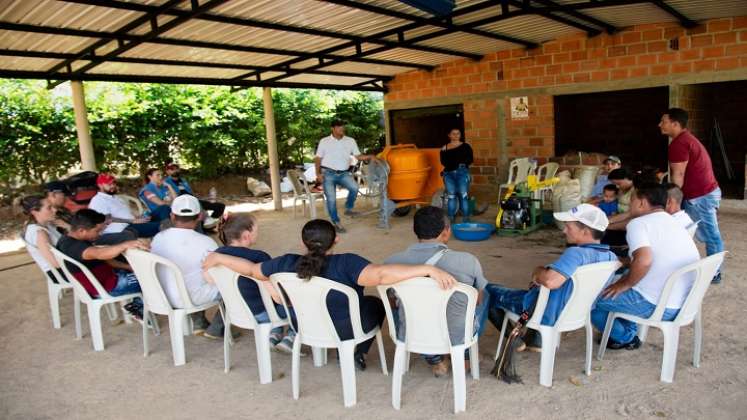 La Agencia para la Reincorporación y la Normalización adelanta proyectos productivos en el Catatumbo./ Foto: Cortesía