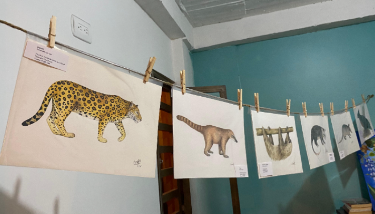 Hay más de 14 especies en la exposición.