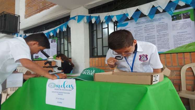 Niños de la institución educativa La Salle integran los semilleros de investigación para conservar los humedales./Foto La Opinión