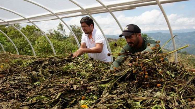 Biofábricas mueven el engranaje de convivencia en el Catatumbo