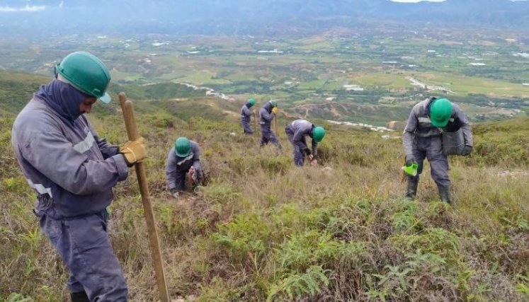 Las personas fueron contratadas para laborar como obreros forestales. 