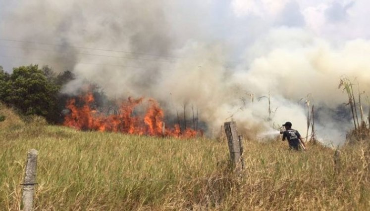 Según el Ministerio de Ambiente y Desarollo Sostenible, la quema de basuras y las fogatas desatendidas pueden generar incendios forestales.