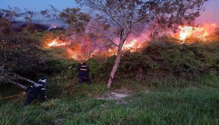 Las altas temperaturas empiezan a preocupar en la provincia de Ocaña por la aparición de incendios forestales./ Foto: Cortesía