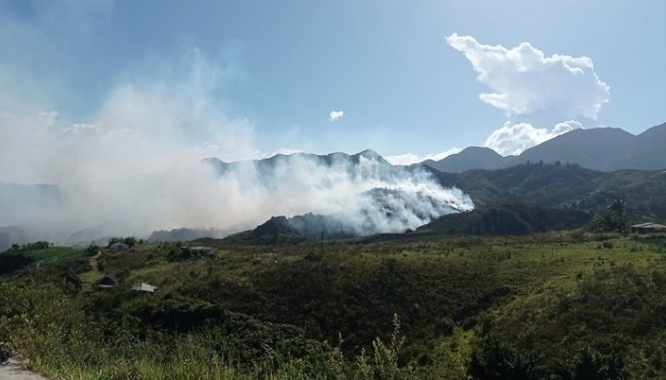Encendidas se encuentran las alarmas por incendios forestales debido al fenómeno de El Niño./ Fotos: Cortesía