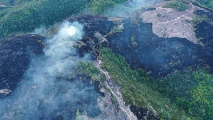 Encendidas se encuentran las alarmas por incendios forestales debido al fenómeno de El Niño./ Fotos: Cortesía