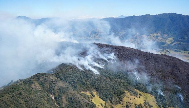 Se quemaron más de 160 hectáreas de cobertura vegetal en Pamplona.