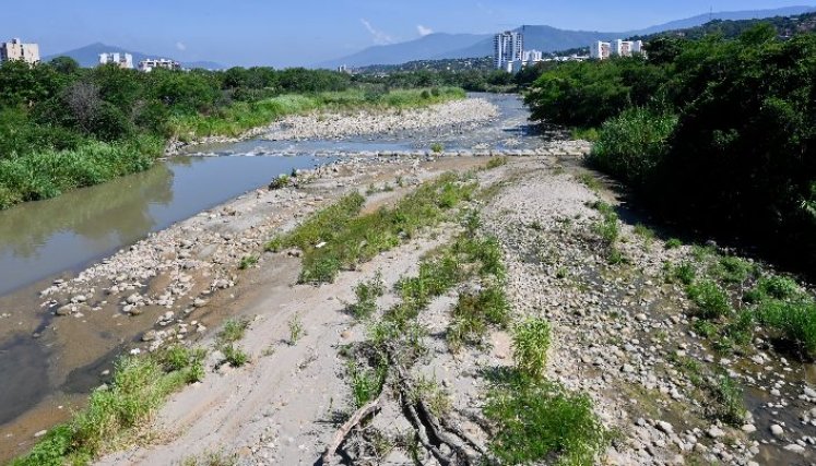 Con muy poca agua y bastante maleza, se ve al río Pamplonita. /Foto: Jorge Gutiérrez/La Opinión Con muy poca agua y bastante maleza, se ve al río Pamplonita. /Foto: Jorge Gutiérrez/La Opinión