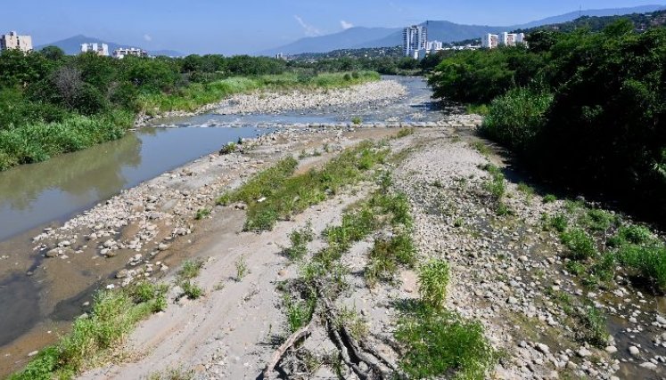 Con muy poca agua y bastante maleza, se ve al río Pamplonita. /Foto: Jorge Gutiérrez/La Opinión