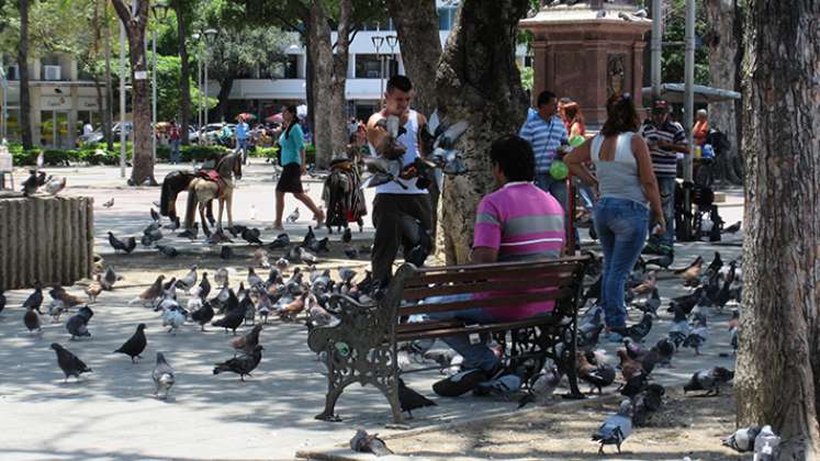 Regulación de drogas en parques. 