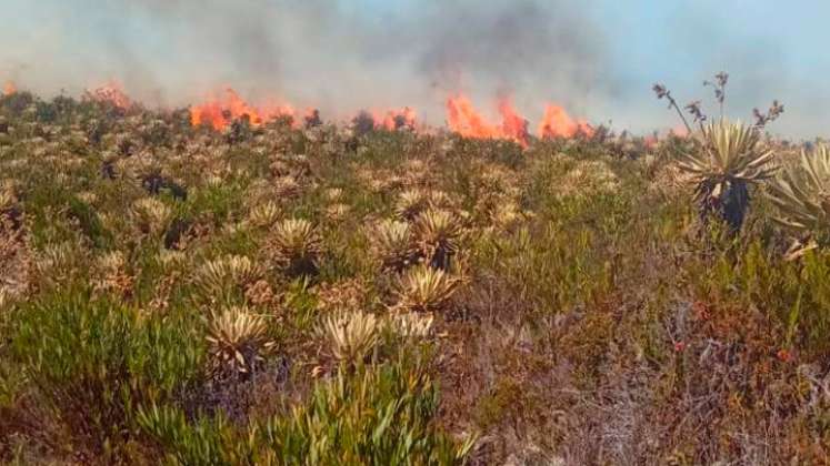 incendio tona