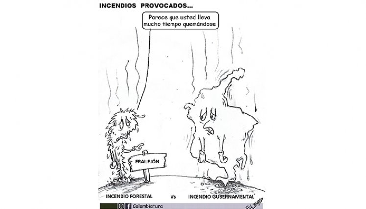 Incendios provocados